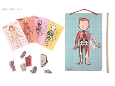Magnetická skladačka Ľudské telo Bodymagnet